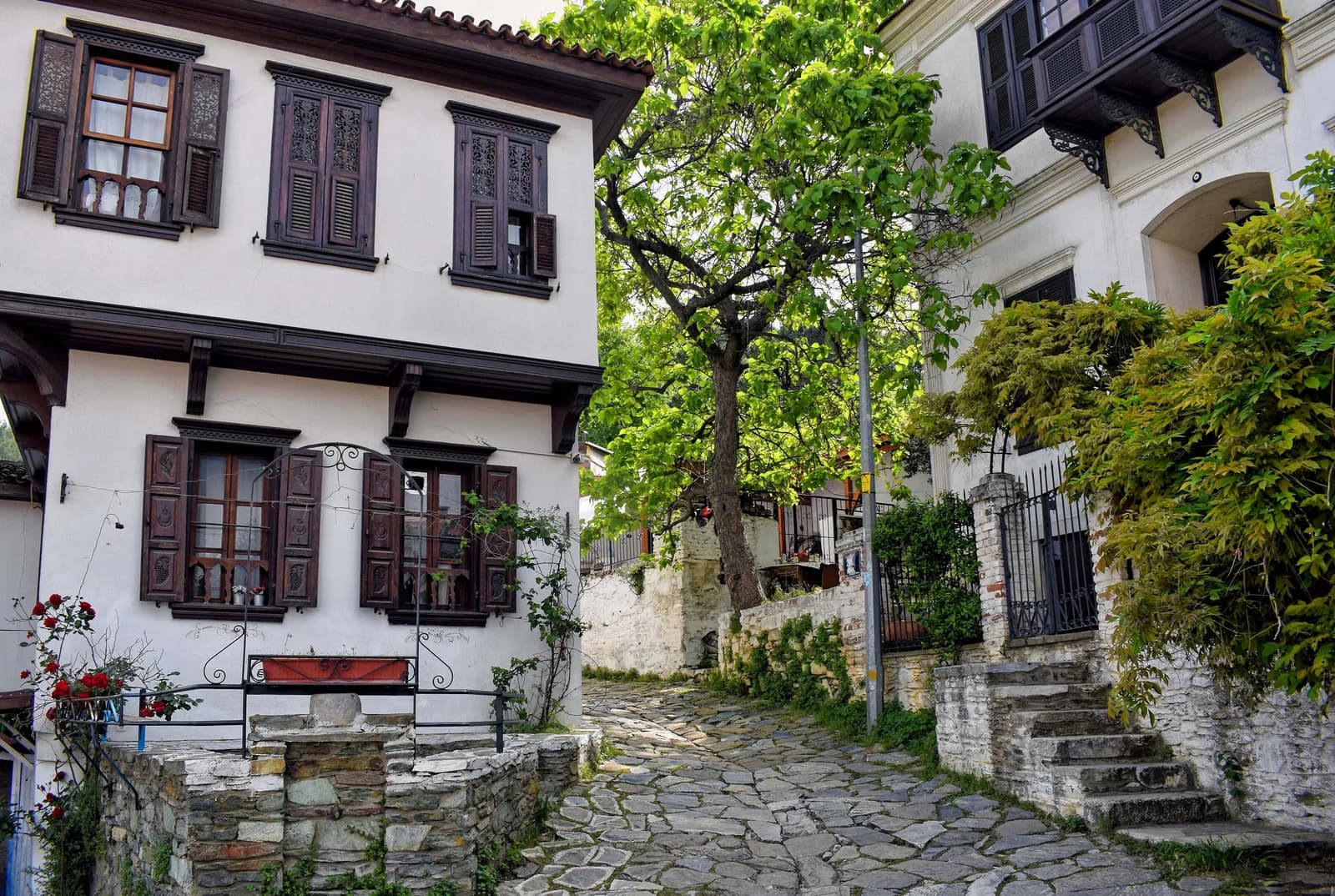 Şirince kapak gorseli